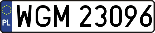 WGM23096