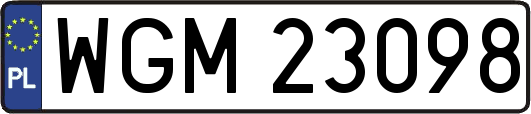 WGM23098