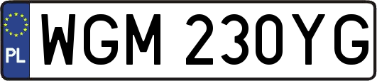 WGM230YG