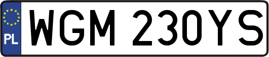 WGM230YS