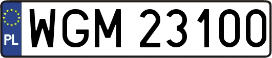 WGM23100