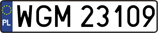 WGM23109