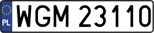 WGM23110