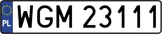 WGM23111