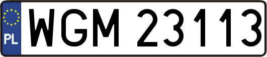 WGM23113