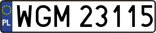 WGM23115