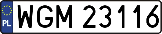 WGM23116