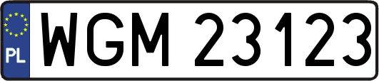 WGM23123