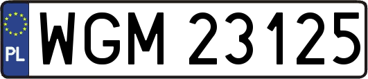 WGM23125