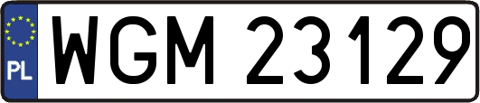 WGM23129
