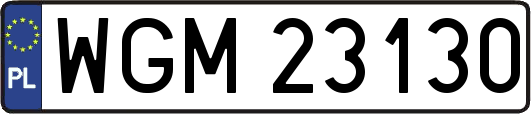 WGM23130