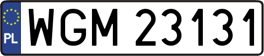 WGM23131