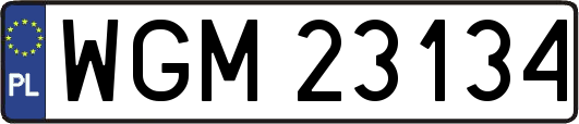 WGM23134