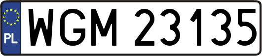 WGM23135