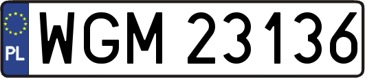 WGM23136