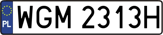 WGM2313H
