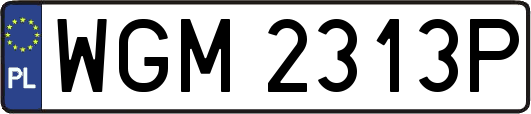 WGM2313P
