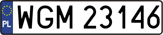 WGM23146