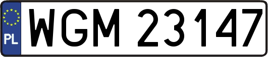 WGM23147