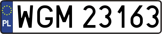 WGM23163
