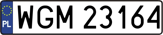 WGM23164