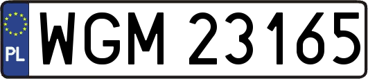 WGM23165