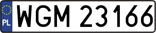 WGM23166