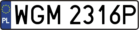 WGM2316P