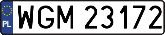 WGM23172