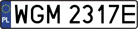 WGM2317E