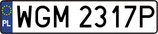 WGM2317P