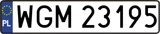 WGM23195