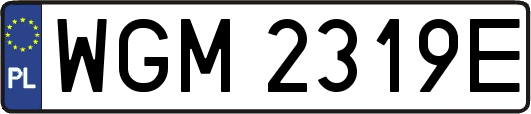 WGM2319E