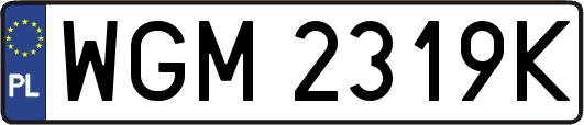 WGM2319K