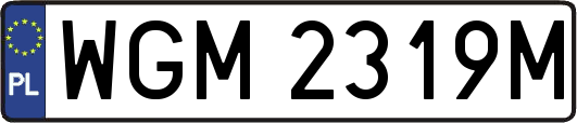 WGM2319M