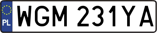 WGM231YA