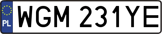 WGM231YE