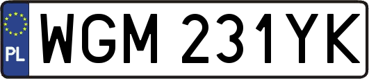 WGM231YK