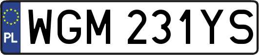 WGM231YS