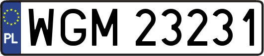 WGM23231