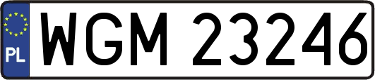 WGM23246