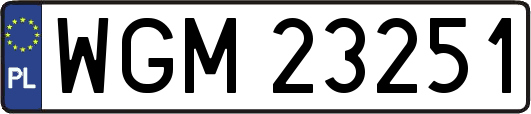 WGM23251