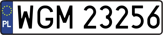WGM23256