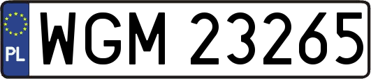 WGM23265