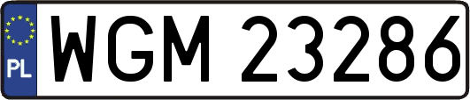 WGM23286