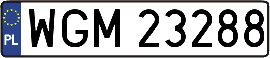 WGM23288