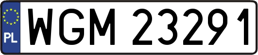 WGM23291