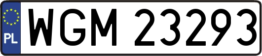 WGM23293