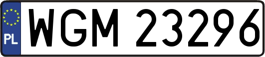 WGM23296