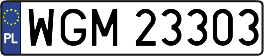 WGM23303